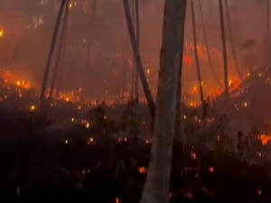 Bak Lautan Api, 20 Hektare Lahan di Minahasa Utara Terbakar