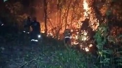 Video: 100 Hektare Lahan Hangus Dalam Semalam Akibat Karhutla di Polman