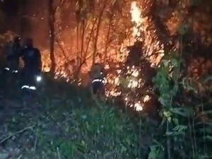 100 Hektare Lahan di Polman Terbakar, Api Belum Padam