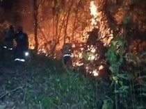 Video: 100 Hektare Lahan Hangus Dalam Semalam Akibat Karhutla di Polman