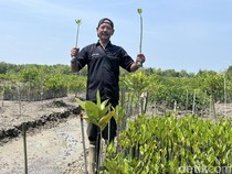 Mangrove Ditanam, Kepiting Kembali: Cerita Warga Sei Tuan Mengais Rezeki