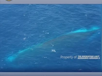 Video Bawah Air Perlihatkan Bangkai KM Virgo yang Tenggelam di Laut Jawa