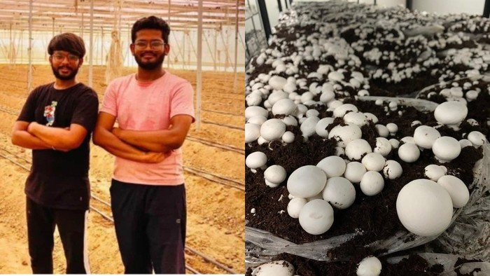 Kuliah di London dan Dubai, Kakak Beradik Ini Pulang Kampung Jadi Petani Jamur