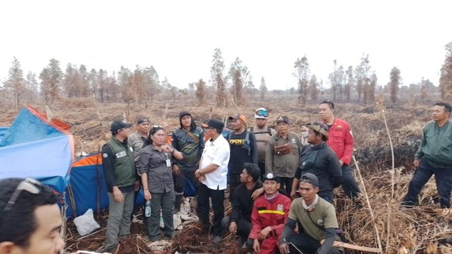 4.524 Hektare TNTP Terbakar, Petugas Padamkan Api di Tengah Sulitnya Akses