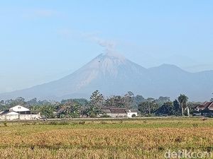 Status Siaga, Gunung Semeru 27 Kali Meletus dalam 6 Jam