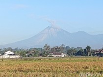 Aktivitas Gunung Semeru Meningkat: 22 Kali Letusan, Status Siaga