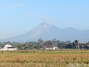 Aktivitas Gunung Semeru Meningkat: 22 Kali Letusan, Status Siaga
