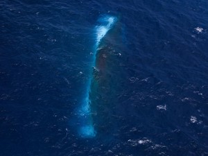 Masalembo, Segitiga Bermuda Nusantara yang Jadi Lokasi Kecelakaan KM Virgo