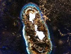 Indahnya Alam Semesta dalam Jepretan Jawara Kontes Foto Astronomi