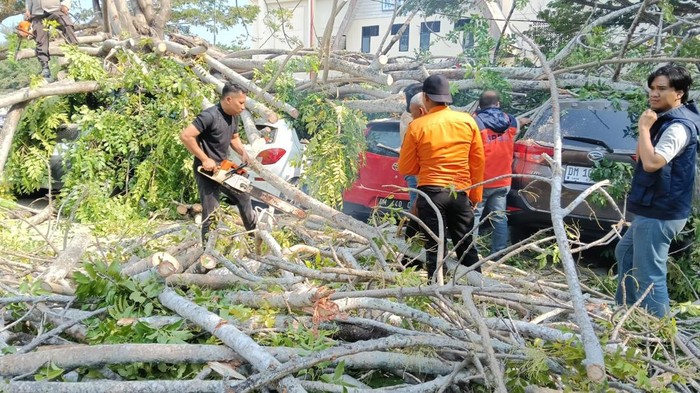 3 mobil tertimpa pohon tumbang di Gorontalo.