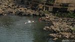 Bendung Katulampa Surut, Warga Manfaatkan untuk Bermain-Memancing