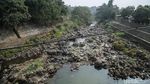 Bendung Katulampa Surut, Warga Manfaatkan untuk Bermain-Memancing