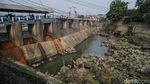 Bendung Katulampa Surut, Warga Manfaatkan untuk Bermain-Memancing