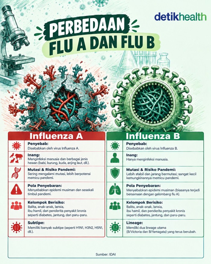 Infografis: Influenza Tipe A dan B, Apa Saja Sih Bedanya?