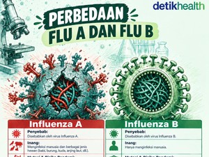 Infografis: Influenza Tipe A dan B, Apa Saja Sih Bedanya?