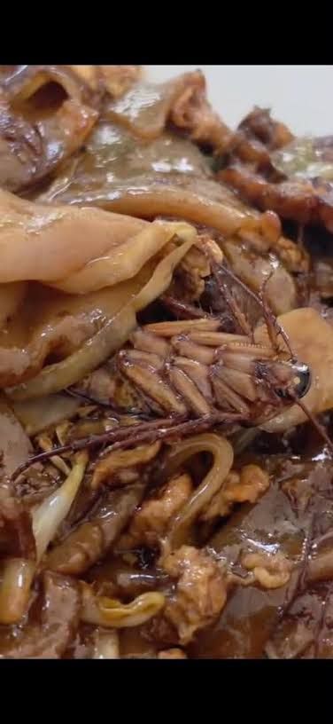 Kecoak Nyempil di Char Kway Teow, Pelanggan Minta Ganti Rugi Rp70 Juta!