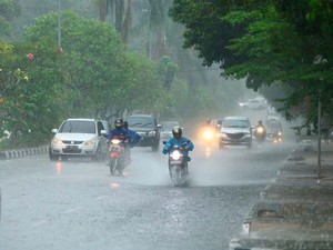 Riau Diguyur Hujan Sejak Semalam, Karhutla di Inhu Mereda