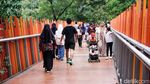 Menikmati Akhir Pekan di Teduhnya Tebet Eco Park