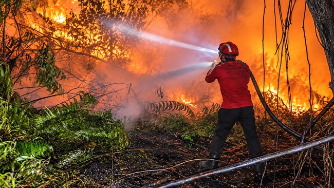 Dana Rp 30 Miliar untuk Penanganan Karhutla Jambi Belum Dipakai, Ini Alasannya
