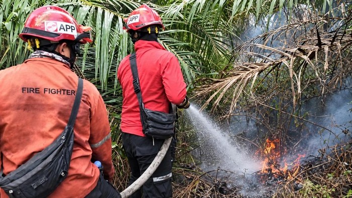 Tim Regu Pemadam Kebakaran (RPK) PT Arara Abadi bersama TNI/Polri dan masyarakat bergerak cepat melakukan penanganan Karhutla.
