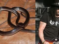 Slash Guns N Roses Diabadikan Jadi Nama Spesies Ular Baru dari Papua