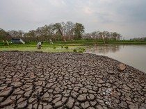 Apa Itu Fenomena El Nino Sangat Kuat yang Disebut-sebut BMKG?