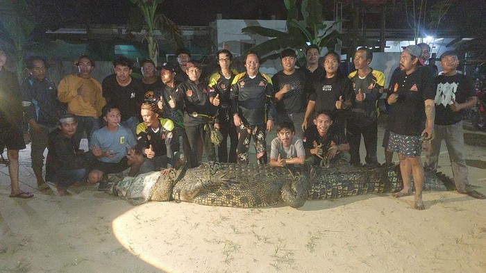 Buaya 4,4 Meter Ditangkap Usai Terkam Warga Sangatta