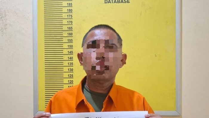 Buron kasus karhutla di Siak ditangkap, sempat halangi pemadaman demi sawit