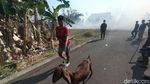 Potret Rumah-Gudang Hangus Imbas TPST Kedungrandu Banyumas Terbakar