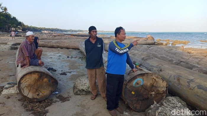 Kayu-kayu yang terdampar di pesisir pantai Sumenep