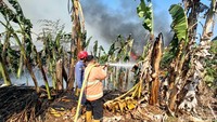 Hingga saat ini petugas masih berjibaku untuk memadamkan api.