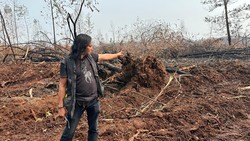 Sudah Direhabilitasi, HLG Londerang Jambi Terbakar Lagi