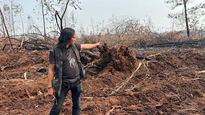 Kondisi HLG Londerang yang telah terbakar sangat luas di Jambi hingga mengakibatkan kabut asap