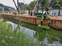 Menengok Anak Sungai Taman Bendera Pusaka yang Kini Lebih Bersih