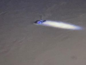 Ini Penyebab Mobil Terjun ke Sungai Tewaskan 3 Orang di Langkat
