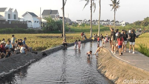 Pengunjung memadati area Tukad Yeh Poh, Banjar Padang Bali, Desa Dalung, Kuta Utara, Badung, Bali, Minggu (20/9/2026). (Foto: Agus Eka/detikBali)