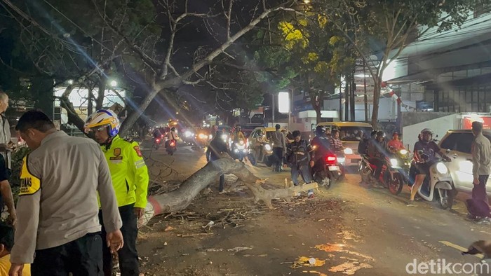 Pohon tumbang di Jalan Raya Bandung
