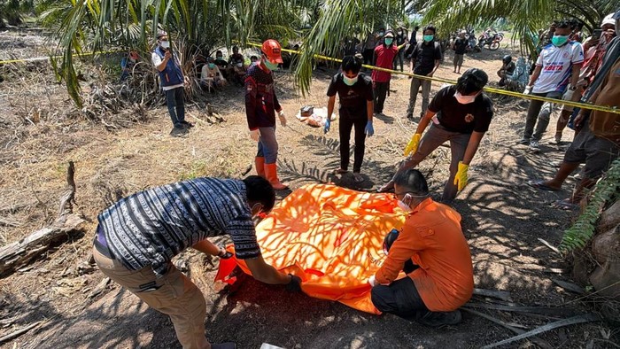Polisi mengevakuasi jenazah seorang kakek yang ditemukan tewas di area kebun sawit Mamuju Tengah.