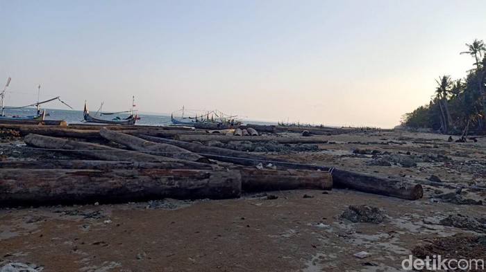 Ratusan Batang Kayu Gelondongan Terdampar di Pantai Sumenep