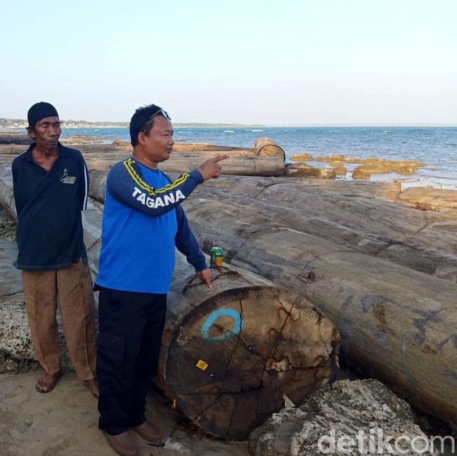 Potret Ratusan Kayu Gelondongan Terdampar di Pantai Sumenep
