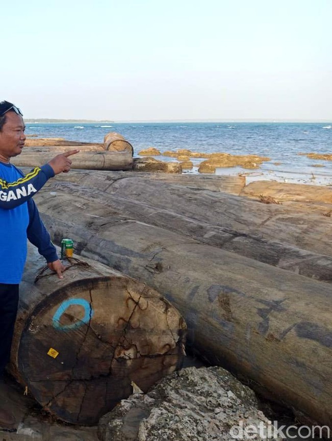 Potret Ratusan Kayu Gelondongan Terdampar di Pantai Sumenep