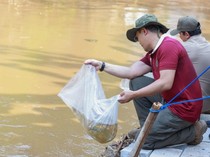 Dukung Program ASRI, Gerindra Tanam Pohon hingga Bersihkan Sungai di Jakarta