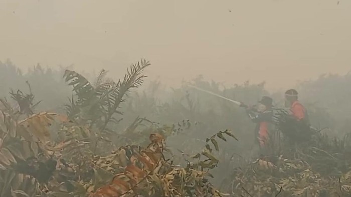 Tim Manggala Agni saat memadamkan karhutla di Tanjabtim