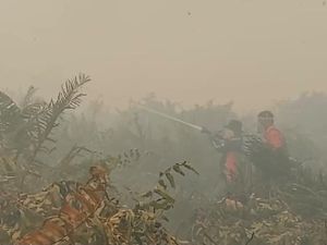 Satgas Optimalkan Pemadaman 3 Titik Karhutla di Tanjabtim Jambi