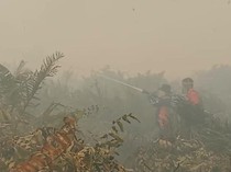 Video Momen Heroik Petugas Tembus Asap Tebal Padamkan Karhutla di Jambi