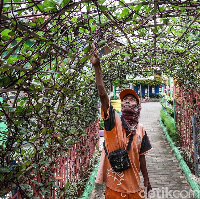 Asrinya Taman Mini Marunda, Ada Tanaman Pangan hingga Satwa