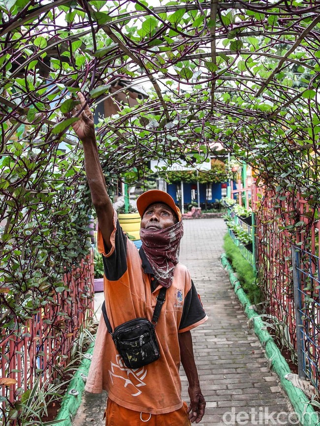 Asrinya Taman Mini Marunda, Ada Tanaman Pangan hingga Satwa