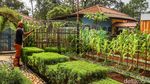 Asrinya Taman Mini Marunda, Ada Tanaman Pangan hingga Satwa