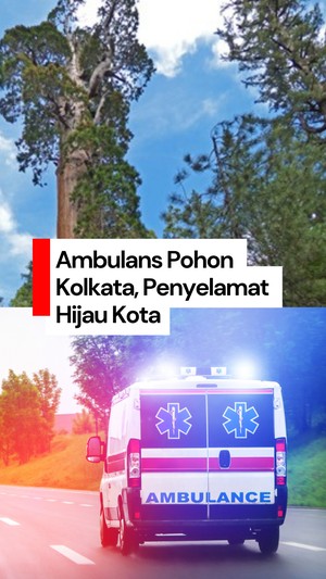 Video: Bukan Manusia, Ambulans Ini Khusus Nyelamatin Pohon