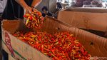 Harga Cabai Rawit Merah Tembus Rp70 Ribu per Kg di Tangerang